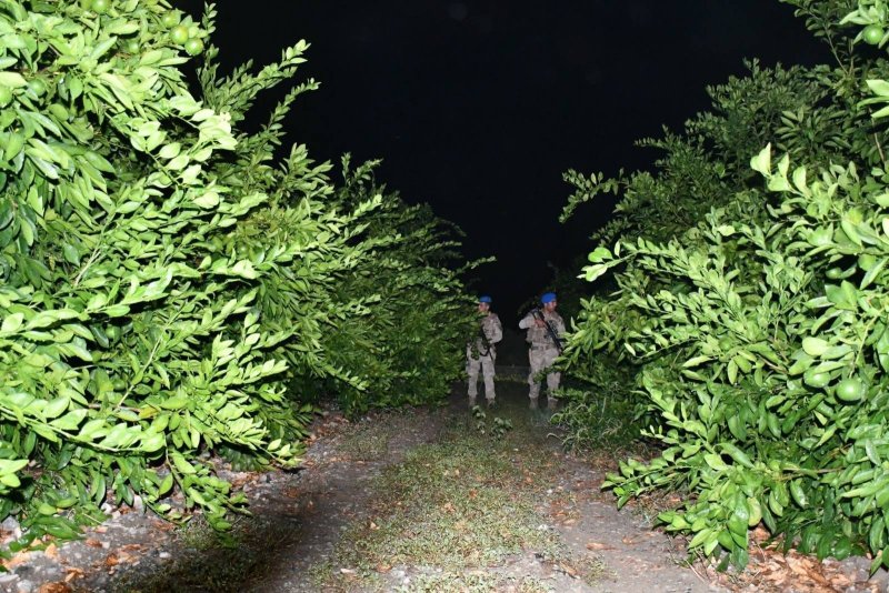 Jandarma, hırsızlara karşı narenciye devriyesinde