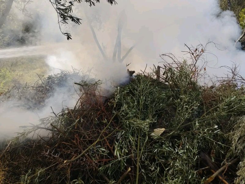 Erzin'de zeytin bahçesinde çıkan yangın söndürüldü