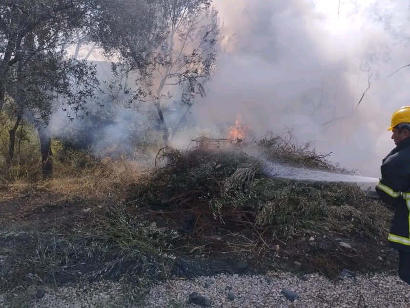 Erzin'de zeytin bahçesinde çıkan yangın söndürüldü