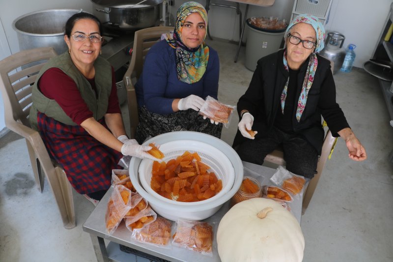 Mari’nin bal kabakları depremzede kadınlara umut oldu