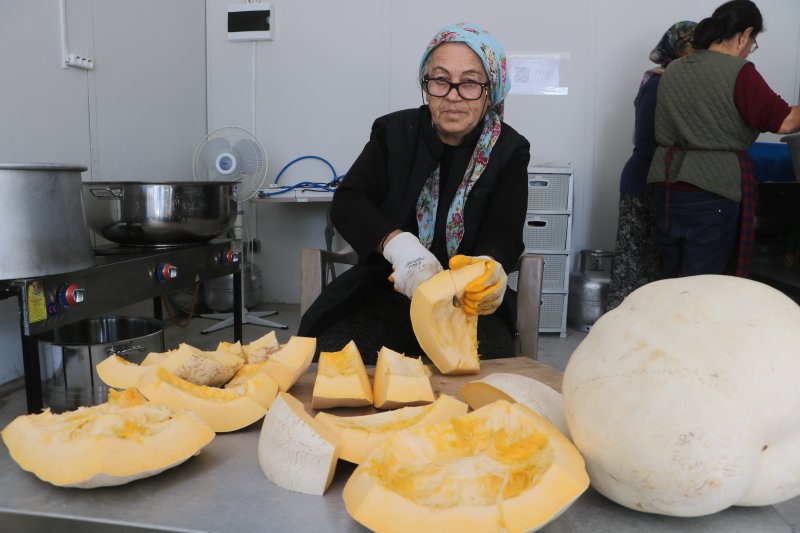 Mari’nin bal kabakları depremzede kadınlara umut oldu