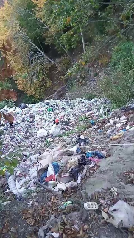 Yaylada vadiye atılan torbalarca çöp zorlu şartlarda toplandı