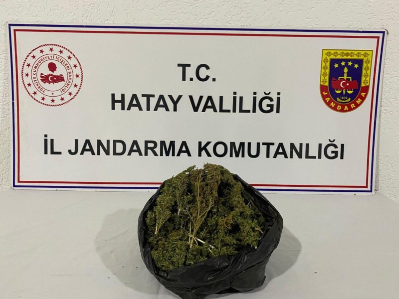 Hatay’da jandarma ekiplerinden uyuşturucu tacirlerine operasyon