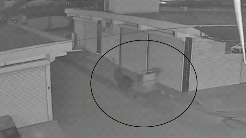 Hatay'da Hırsızlık: At Arabası ile Kapı Çaldılar 