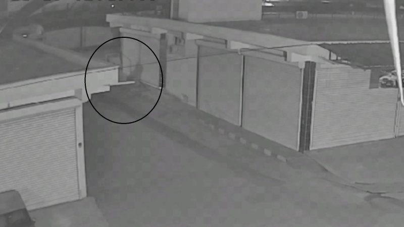 Hatay'da Hırsızlık: At Arabası ile Kapı Çaldılar 