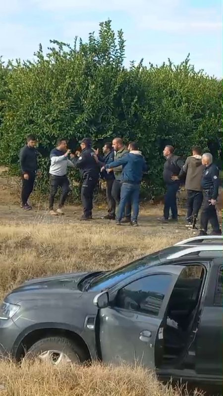 Hatay'da Narenciye Satışı Kavga Başlattı