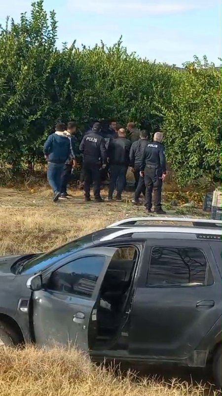 Hatay'da Narenciye Satışı Kavga Başlattı