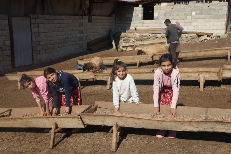 Öğrencilerine ödev olarak inek sağdıran ve kuzuları besleten Melahat öğretmenin öğrencilerinin 10 parmağında 10 marifet