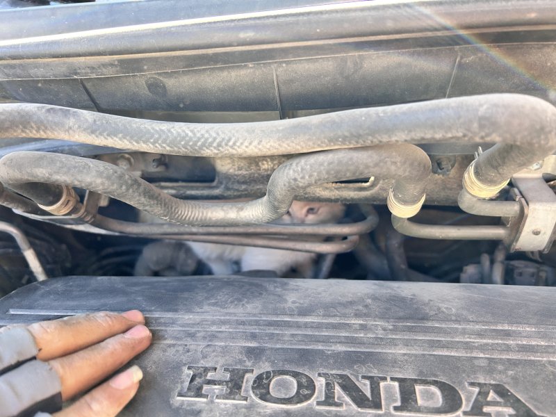 Hatay'lı sürücü, soğuktan motora sığınan yavru kediyi kurtardı Hatayinternettv.com