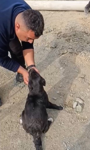 Hatay'da 17 metre derinliğindeki kuyuya düşen köpeği itfaiye kurtardı