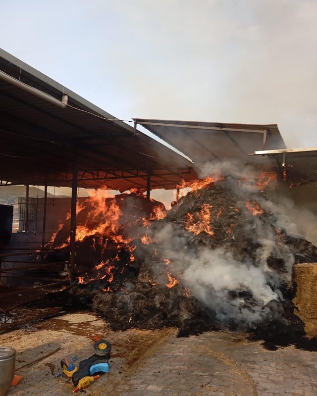 Antakya’da samanlık yangını (Fotoğraflı) İsmet Biçen HATAY (İHA) - Hatay'da ahırın samanlık kısmında yaşanan yangında saman balyaları alev alev yanarak zarar gördü. Yangın, Antakya ilçesi Ovakent Mahallesi’nde bulunan bir ahırın samanlık kısmında yaşandı. Alevlerin fark edilmesi üzerine bölgeye itfaiye ekipleri sevk edildi. Yangın, ekiplerin müdahalesi ve kepçe yardımıyla söndürüldü. Yangında, saman balyaları zarar gördü.