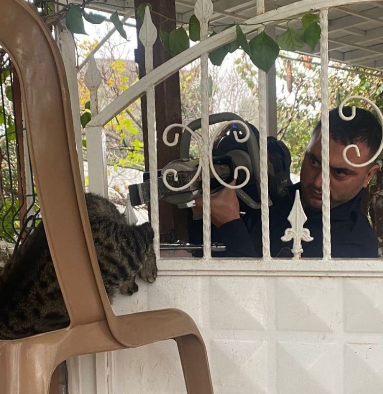 Patisi korkuluğa sıkışan kediyi itfaiye kurtardı (Fotoğraflı) Ferit Savaş HATAY (İHA) - Hatay’da patisi demir korkuluklara sıkışan kedi, itfaiye ekipleri tarafından kurtarıldı. Defne ilçe Harbiye Mahallesi’nde demir korkuluklara patisi sıkışan kediyi fark eden vatandaşlar durumu itfaiye ekiplerine bildirdi. Bölgeye intikal eden itfaiye ekipleri, kediyi titiz çalışmayla kurtardı. Sağlık durumu iyi olan kedi beslenerek doğal yaşam alanına bırakıldı.