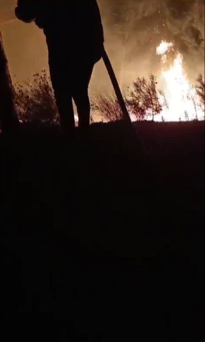 Hatay'da ormanlık alanda çıkan yangın söndürüldü