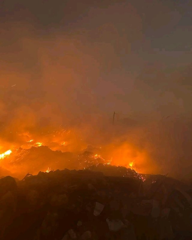 Samandağ'da kamışlık ve boş arazide çıkan yangın söndürüldü