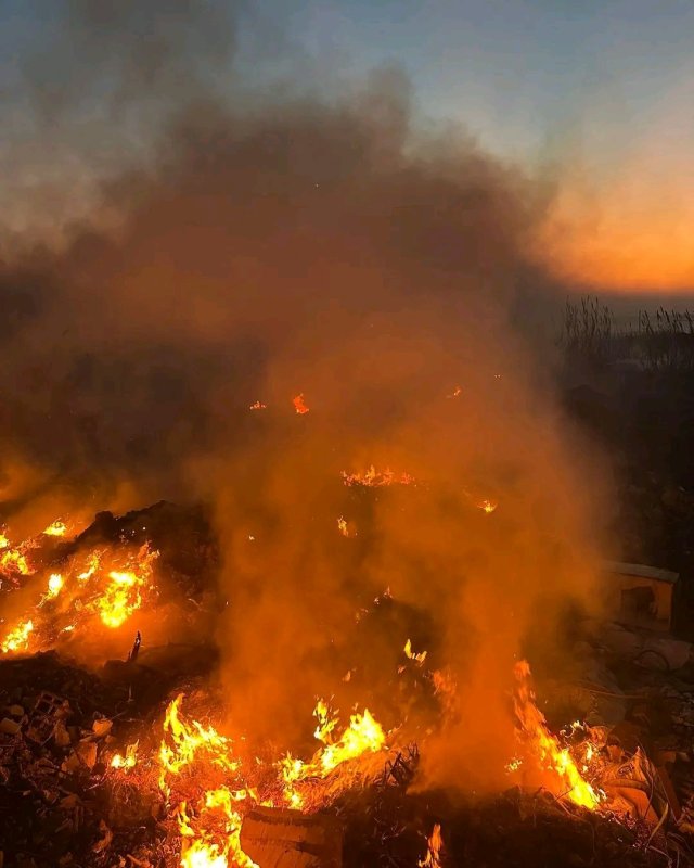 Samandağ'da kamışlık ve boş arazide çıkan yangın söndürüldü