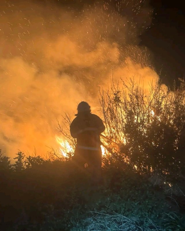 Arsuz'da kamışlık alanda çıkan yangın söndürüldü (Fotoğraflı) Esma Kural HATAY (İHA) - Hatay'ın Arsuz ilçesinde kamışlık alanda çıkan yangın itfaiye ekiplerinin müdahalesiyle tarafından söndürüldü. Akçalı Mahallesi'nde kamışlık alanda yangın çıktı. Yangını gören vatandaşlar durumu 112 Acil Çağrı Merkezi'ne bildirdi. İhbar üzerine olay yerine itfaiye ekipleri sevk edildi. Kısa sürede bölgeye gelen itfaiye ekiplerinin müdahalesiyle yangın söndürüldü.