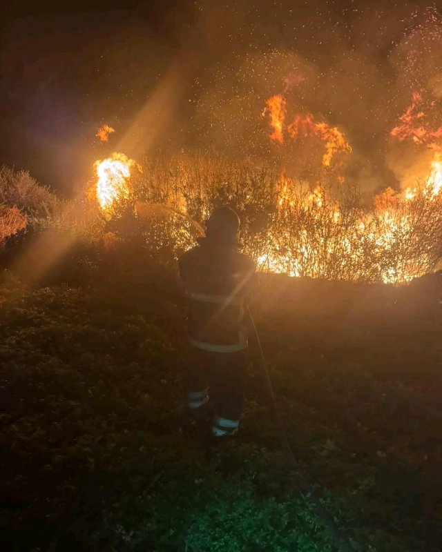 Arsuz'da kamışlık alanda çıkan yangın söndürüldü (Fotoğraflı) Esma Kural HATAY (İHA) - Hatay'ın Arsuz ilçesinde kamışlık alanda çıkan yangın itfaiye ekiplerinin müdahalesiyle tarafından söndürüldü. Akçalı Mahallesi'nde kamışlık alanda yangın çıktı. Yangını gören vatandaşlar durumu 112 Acil Çağrı Merkezi'ne bildirdi. İhbar üzerine olay yerine itfaiye ekipleri sevk edildi. Kısa sürede bölgeye gelen itfaiye ekiplerinin müdahalesiyle yangın söndürüldü.
