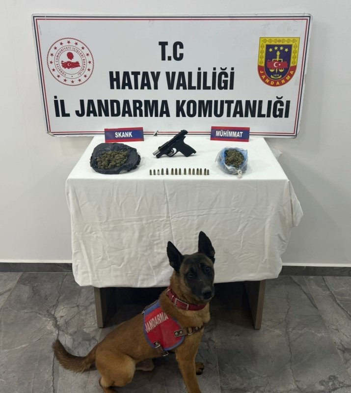 Hatay’da Jandarma’dan uyuşturucu ve kaçakçılık operasyonu; 25 gözaltı