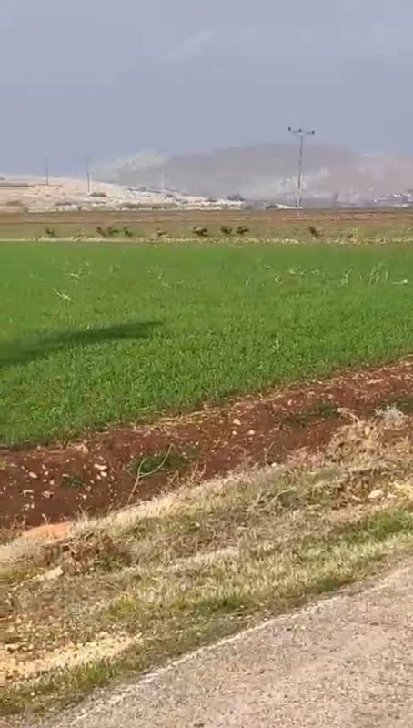 Acemi avcı domuz sürüsünde hedefi tutturamayınca arkadaşı dalga geçti (Fotoğraflı) İsmet Biçen HATAY (İHA) - Hatay'ın Kırıkhan ilçesinde domuz sürüsüyle karşılaşan acemi avcı, hedefi tutturamayınca arkadaşının onunla dalga geçtiği anlar kameraya yansıdı. Olay, Kırıkhan ilçesi Gölbaşı Mahallesi'nde yaşandı. Yabani domuz sürüsü mahalleye indiği esnada kendini korumak isteyen bir kişi, av tüfeğiyle domuzlara ateş etti. Acemi avcının domuz sürüsünde hedefi tutturamadığı anları kayıt altına alan arkadaşı ise onunla dalga geçti. Gülümseten anlar kameraya yansırken, şahsın sürü içerisinde bir domuzu vurduğu görüldü. Domuz sürüsü ise kısa sürede hızla gözden kayboldu.
