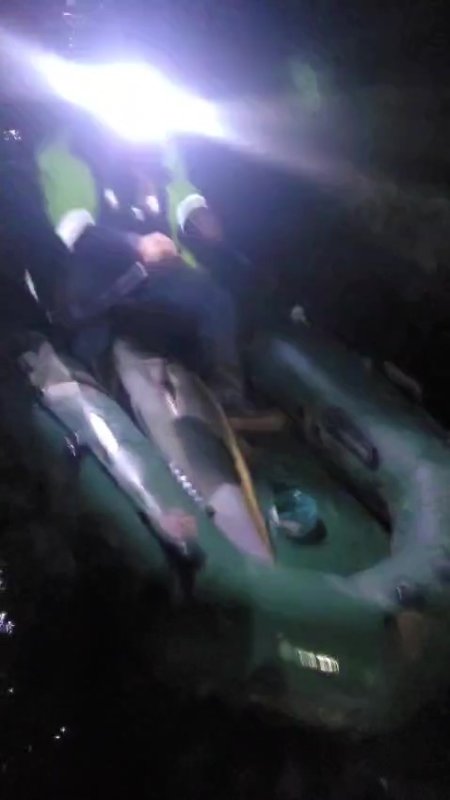 50 kiloluk Akya balığını 2 kişi, 2 saatlik mücadeleyle yakalamayı başardı