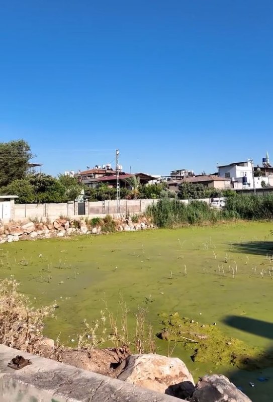 YUMUŞAK: PINARBAŞI MAHALLESİ GÖL TEMİZLİĞİ BAŞARIYLA TAMAMLANDI