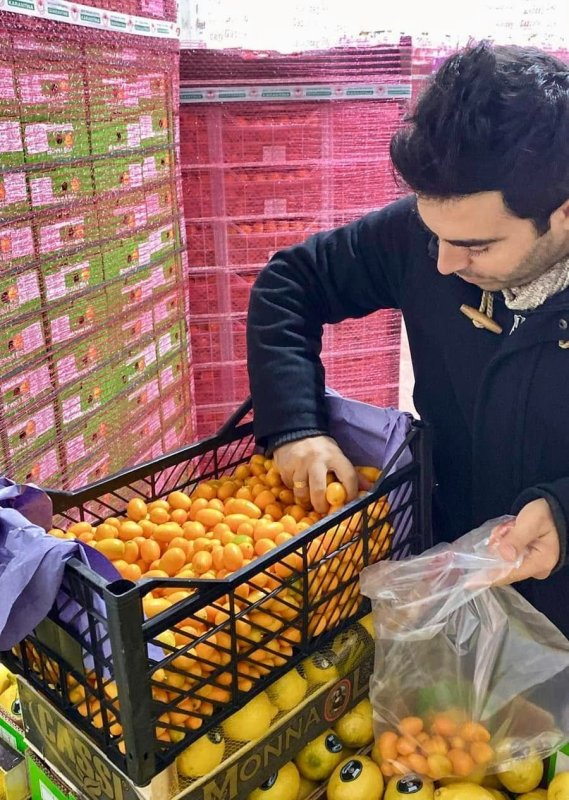 Hatay’dan ihraç edilecek meyve ve zeytinyağları denetlendi