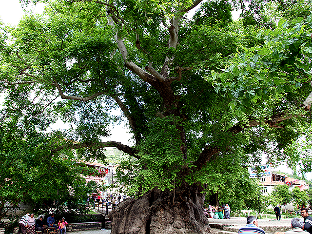 Güneyin İncisi ''HATAY''