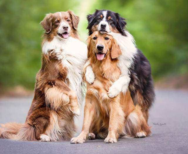 Kelimelere sığmayan fotoğraflar!