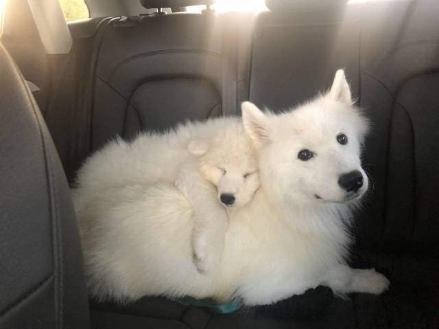 Kelimelere sığmayan fotoğraflar!