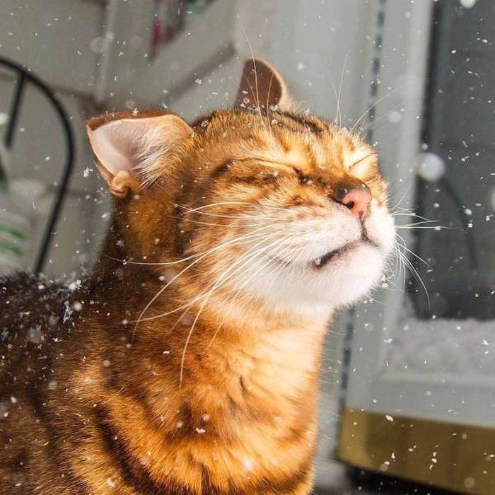 Kelimelere sığmayan fotoğraflar!