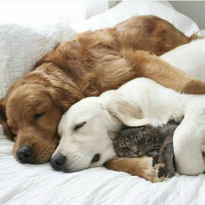 Kelimelere sığmayan fotoğraflar!