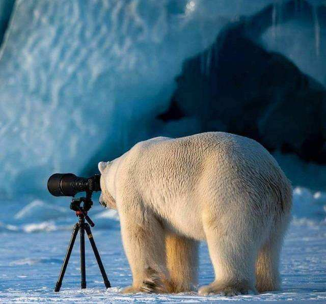 Kelimelere sığmayan fotoğraflar!