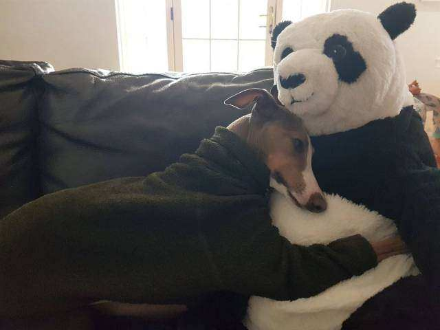 Kelimelere sığmayan fotoğraflar!