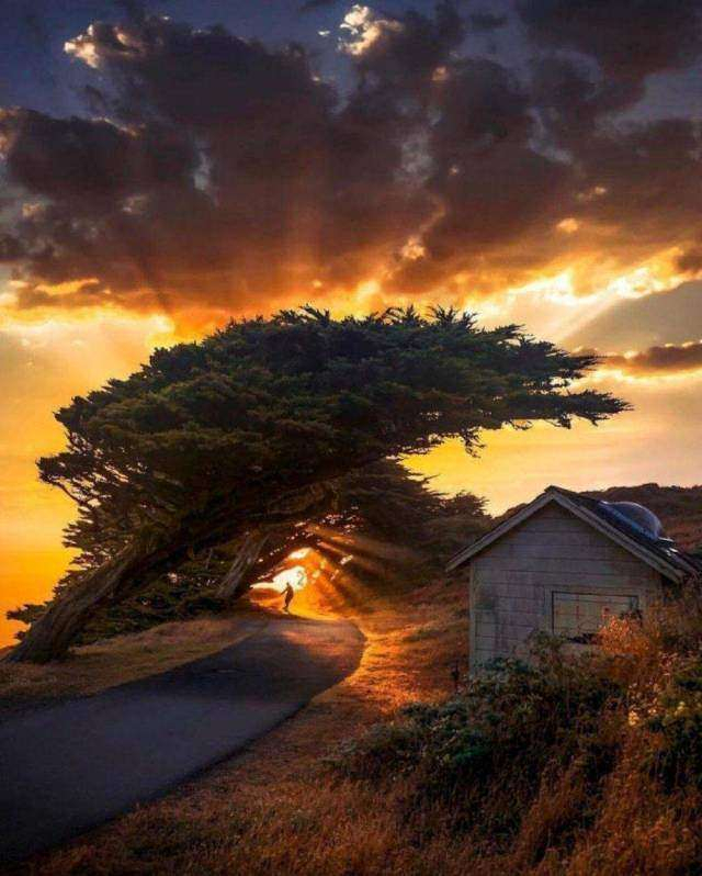 Kelimelere sığmayan fotoğraflar!