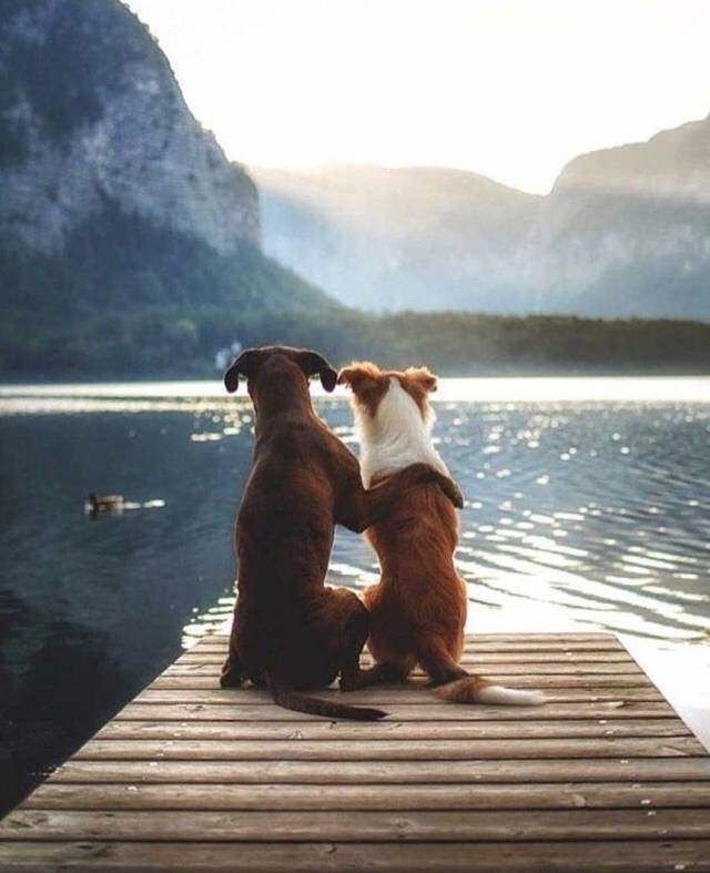 Kelimelere sığmayan fotoğraflar!