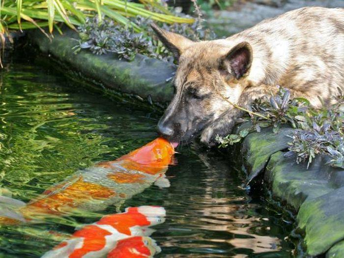 Kelimelere sığmayan fotoğraflar!