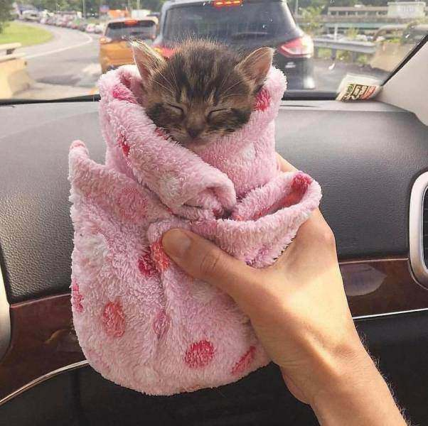 Kelimelere sığmayan fotoğraflar!