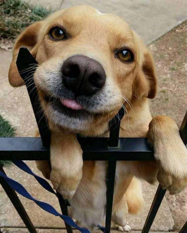 Kelimelere sığmayan fotoğraflar!