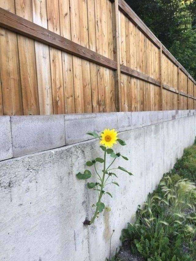 Kelimelere sığmayan fotoğraflar!