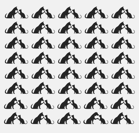 İşte dünyanın en zor dikkat testi