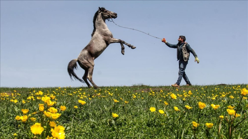 Haftanın fotoğrafları (15-21 Mayıs 2020)