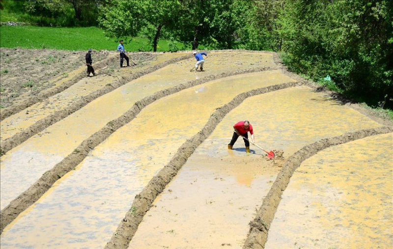 Haftanın fotoğrafları (15-21 Mayıs 2020)