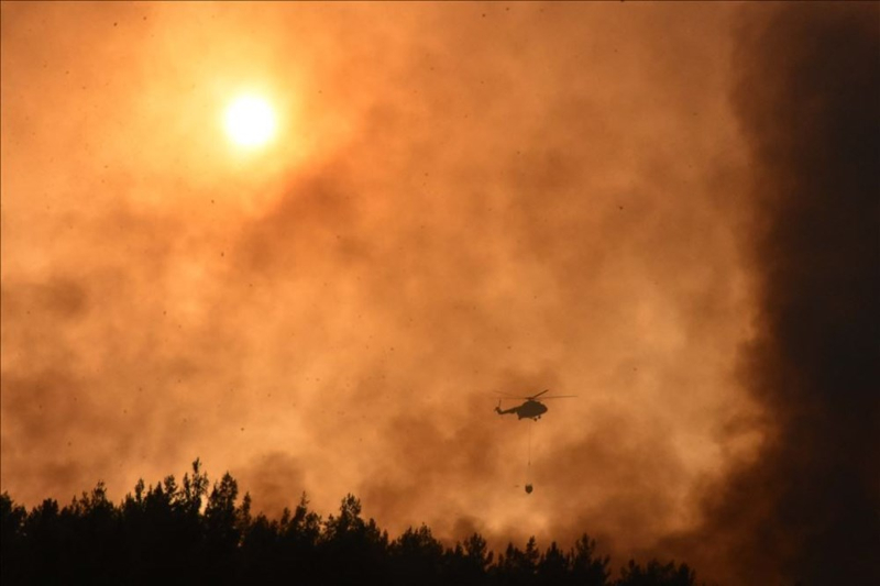 Haftanın fotoğrafları (15-21 Mayıs 2020)