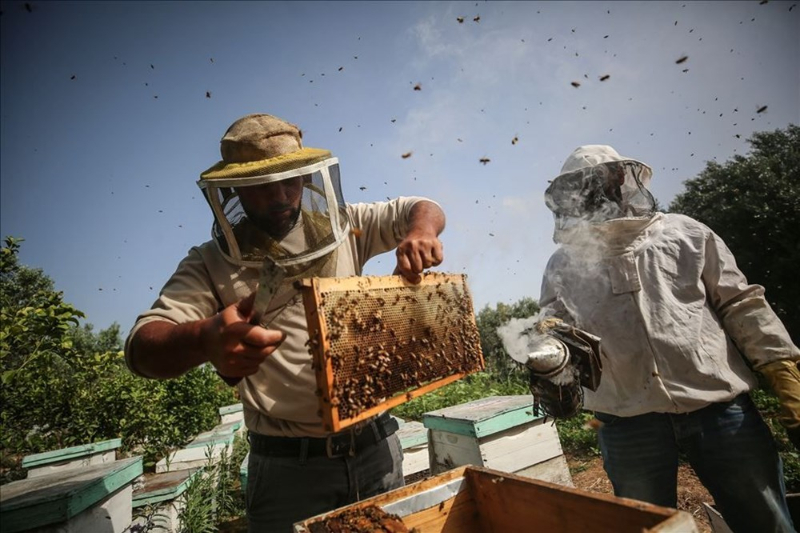 Haftanın fotoğrafları (15-21 Mayıs 2020)