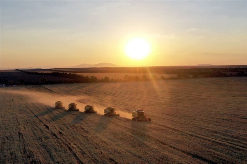 Haftanın fotoğrafları (4-10 Temmuz 2020)