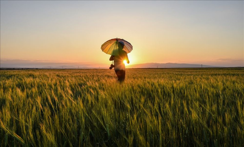 Haftanın fotoğrafları (4-10 Temmuz 2020)