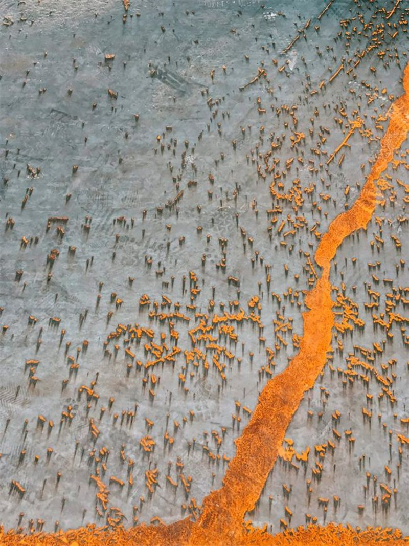 2020 iPhone Fotoğraf Ödülleri yarışmasının kazananları belli oldu