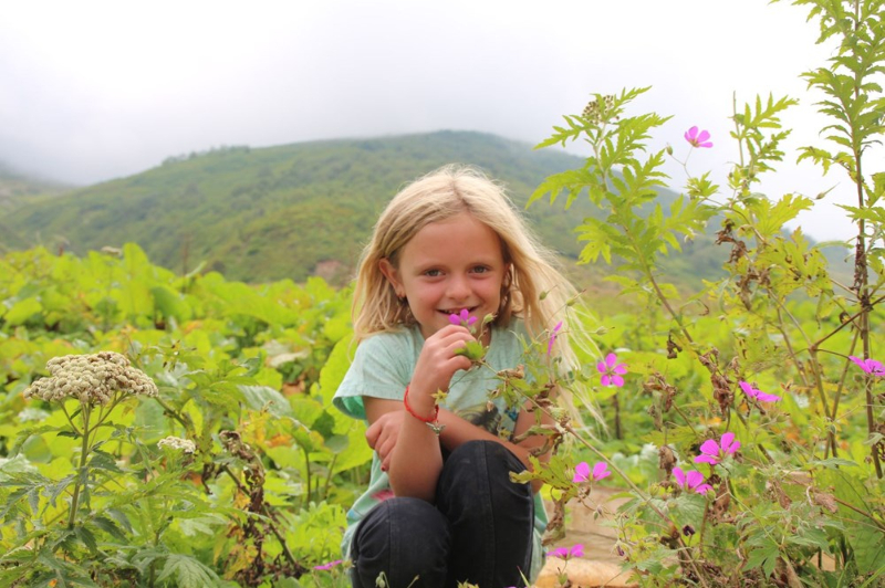 Pandemiden Kaçanlar Akın Ediyor