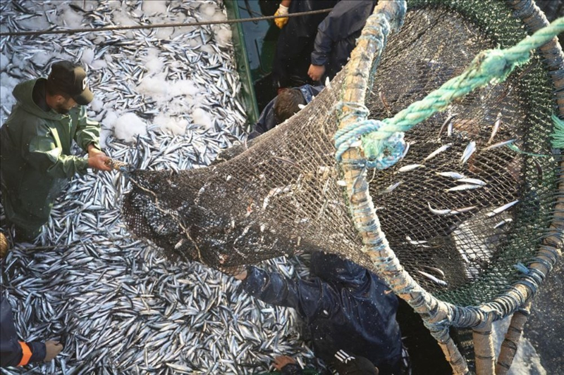 Haftanın fotoğrafları (28 Ağustos-4 Eylül 2020)