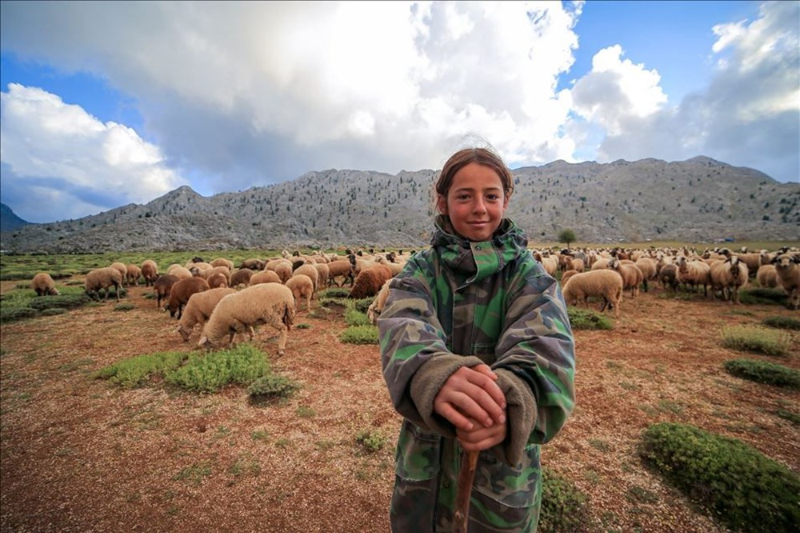 Haftanın fotoğrafları (28 Ağustos-4 Eylül 2020)